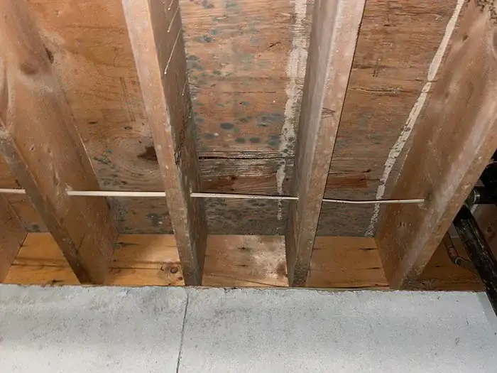 Mold damage in attic